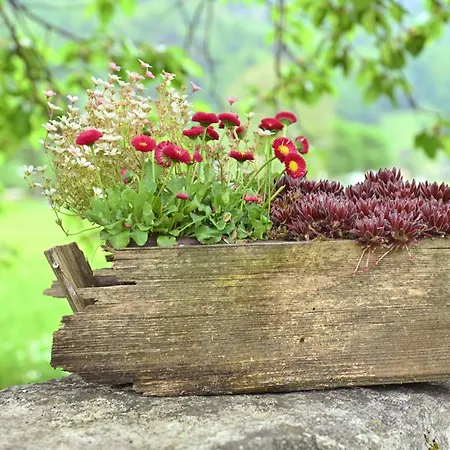 Hof Im Feld * Schruns