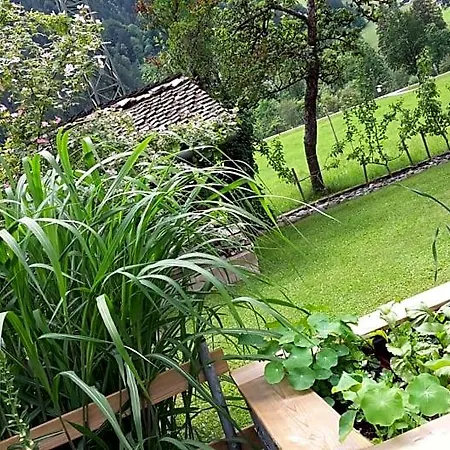 Appartement Hof Im Feld Schruns