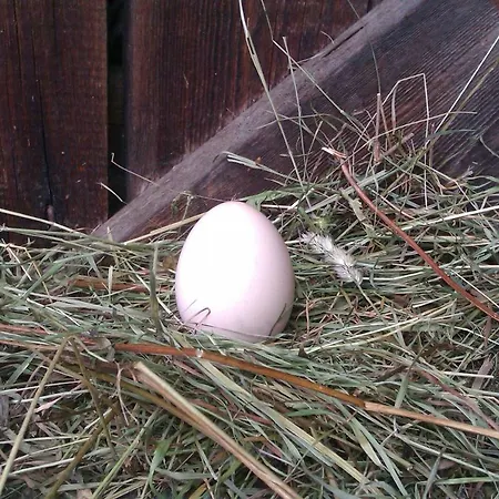 Apartamento Hof Im Feld Schruns