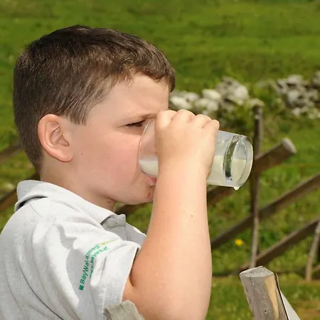 Apartamento Hof Im Feld