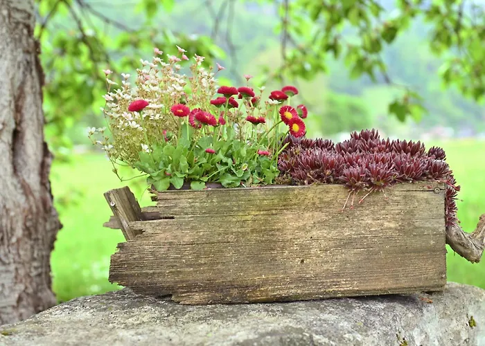 Hof Im Feld * Schruns