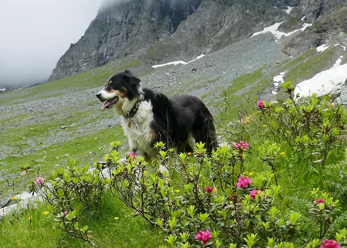Appartamento Hof Im Feld Schruns