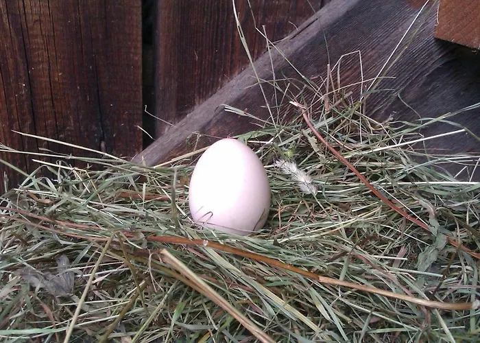 Apartment Hof Im Feld Schruns